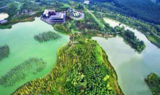 成都白鹭湾湿地公园 成都白鹭湾湿地公园