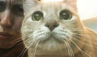 你一定要幸福电视剧 你一定要幸福电视剧