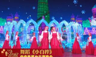 龙年元宵晚会主持词 龙年元宵晚会主持词